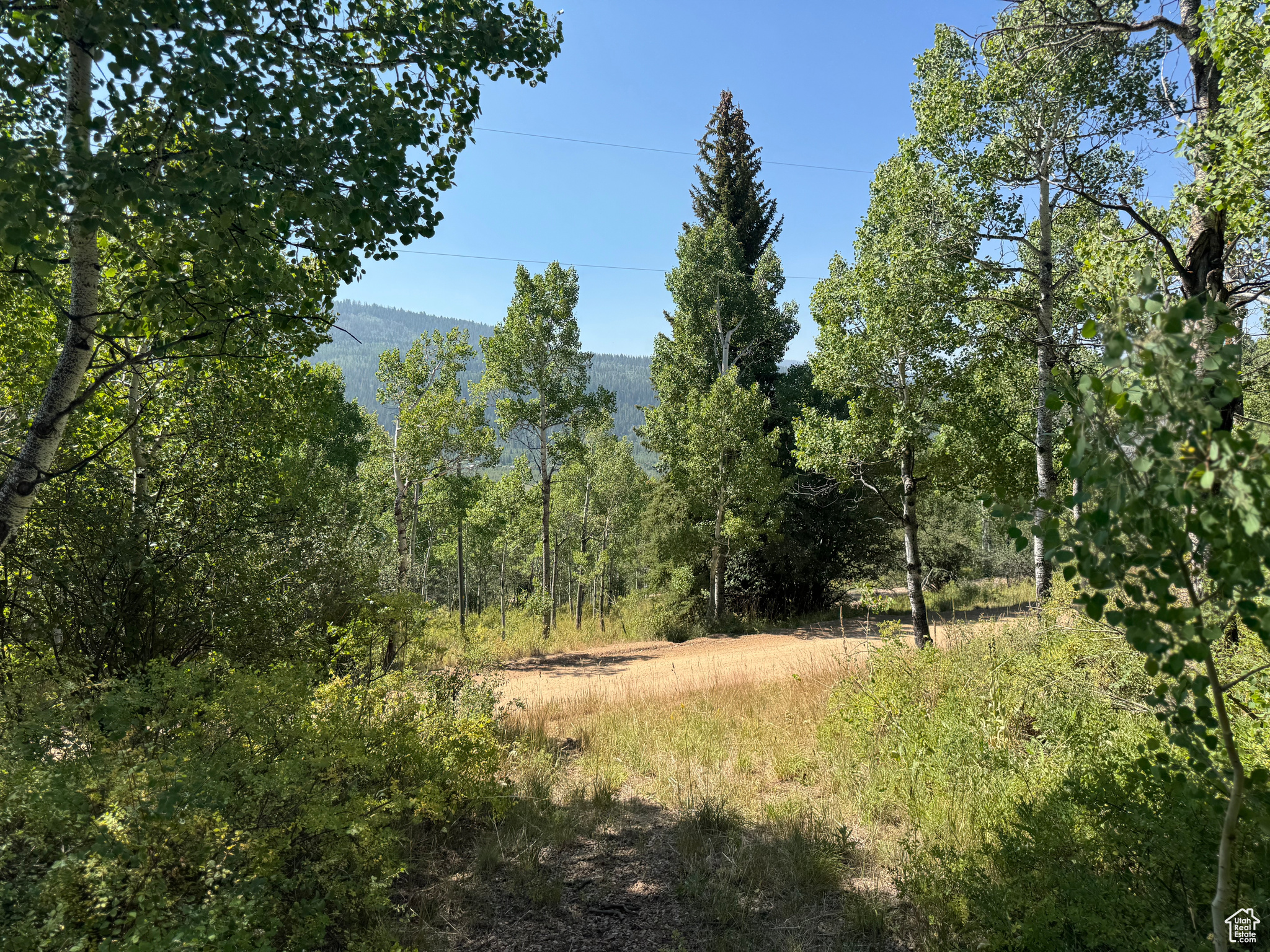 BEAVER SPRINGS - Land