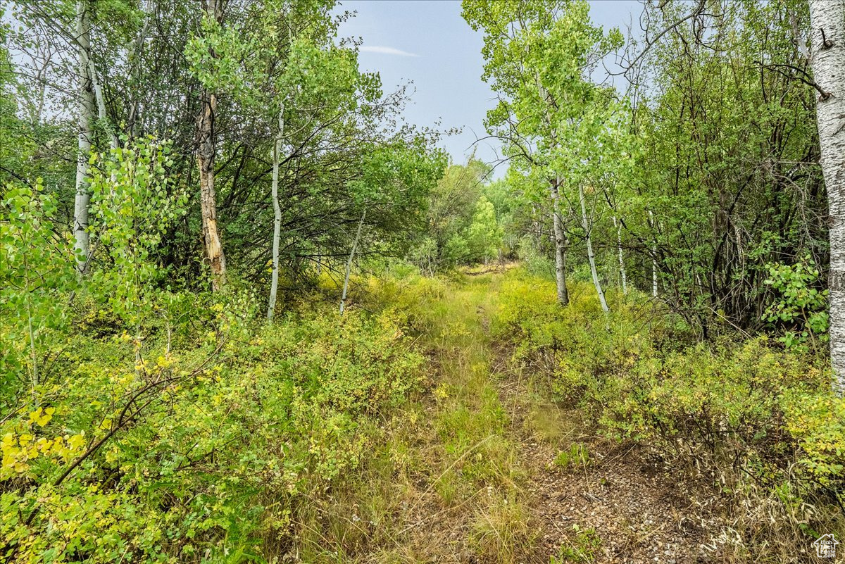 BEAVER SPRINGS - Land