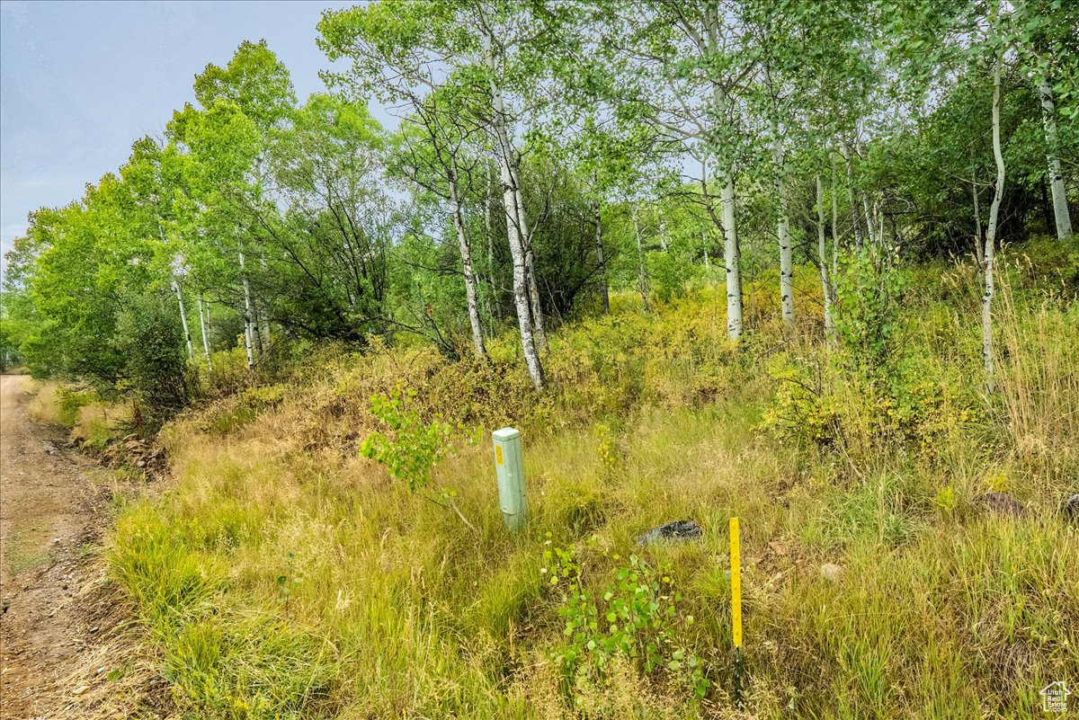 BEAVER SPRINGS - Land