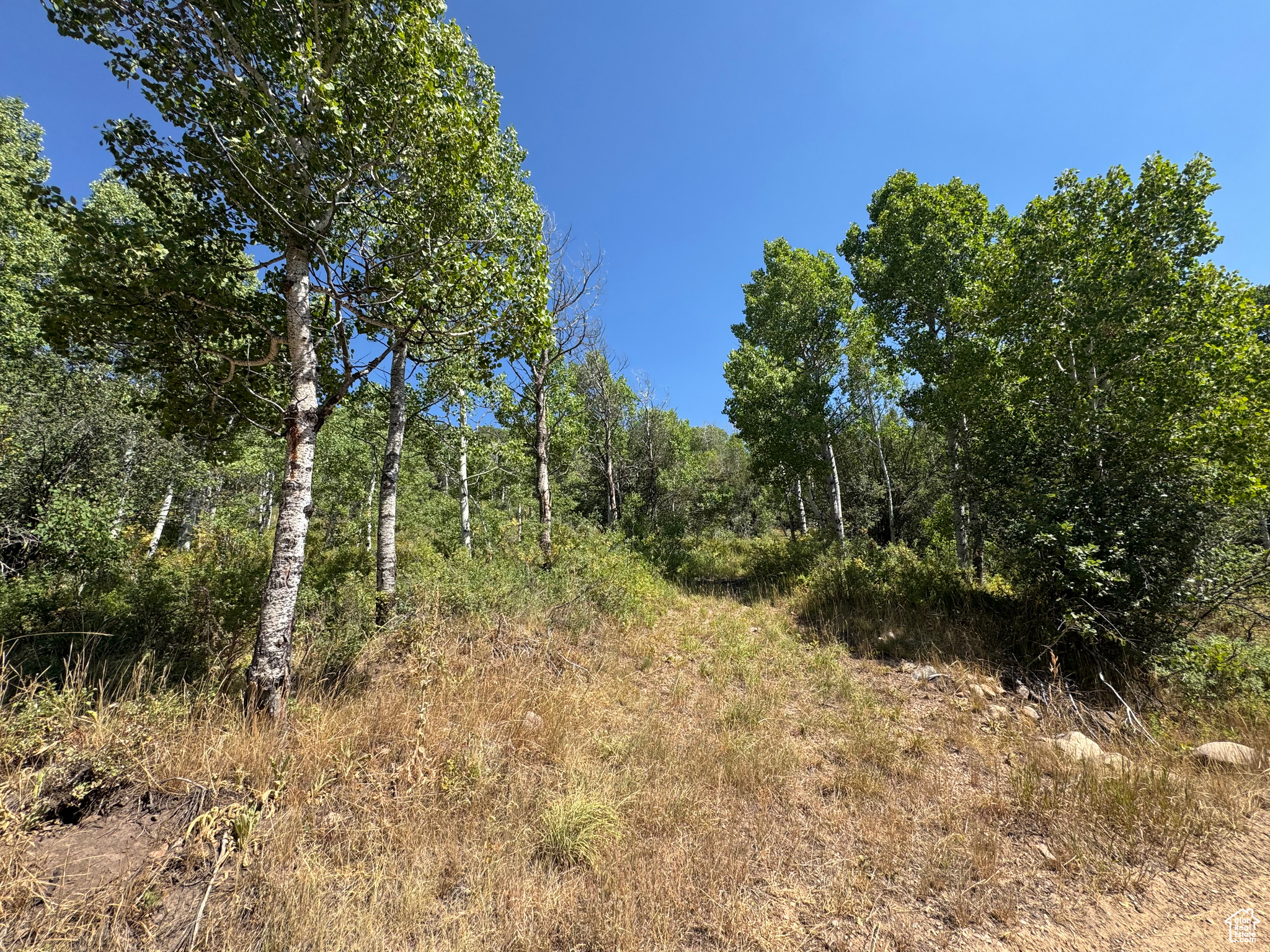 BEAVER SPRINGS - Land