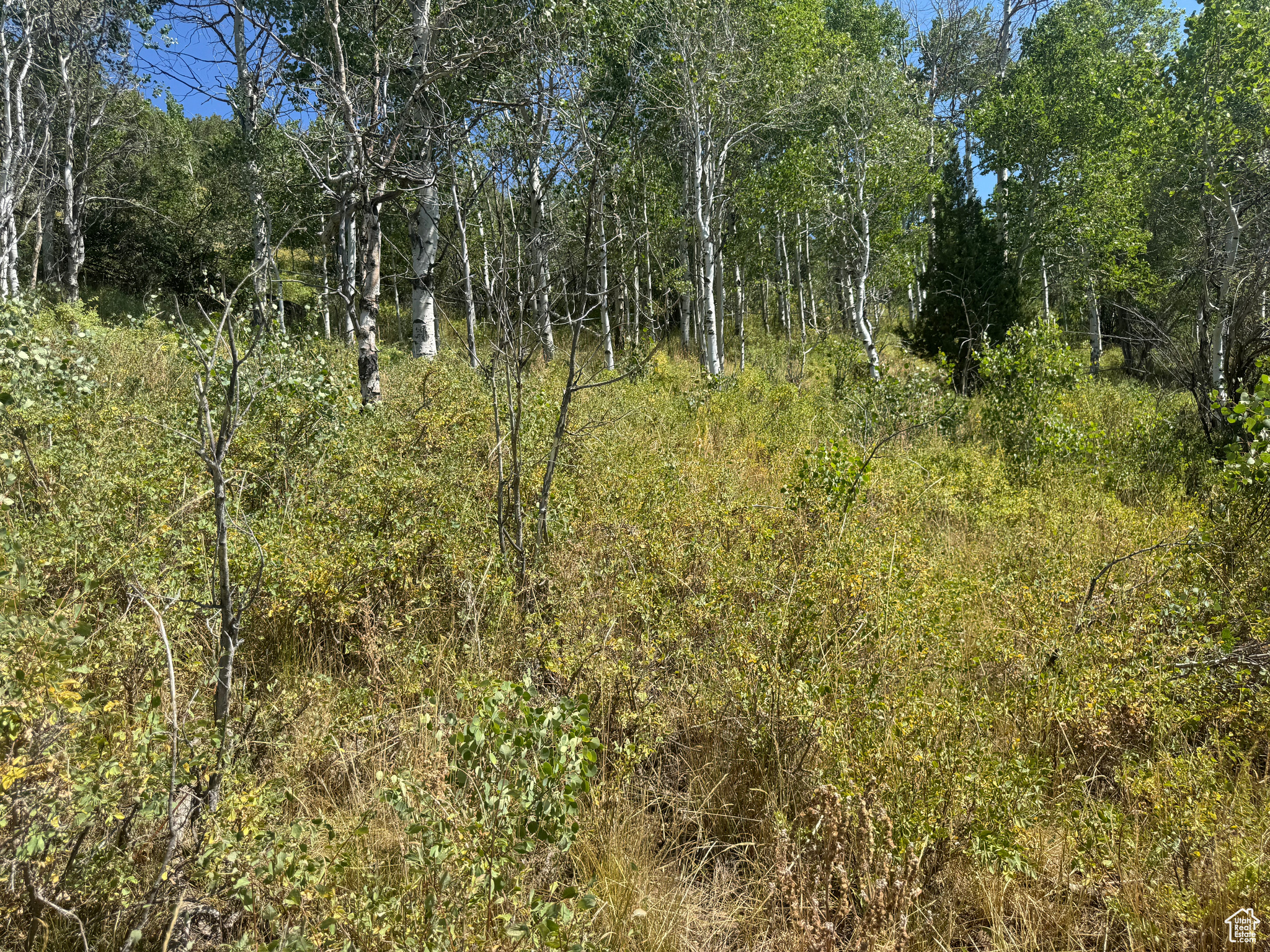 BEAVER SPRINGS - Land