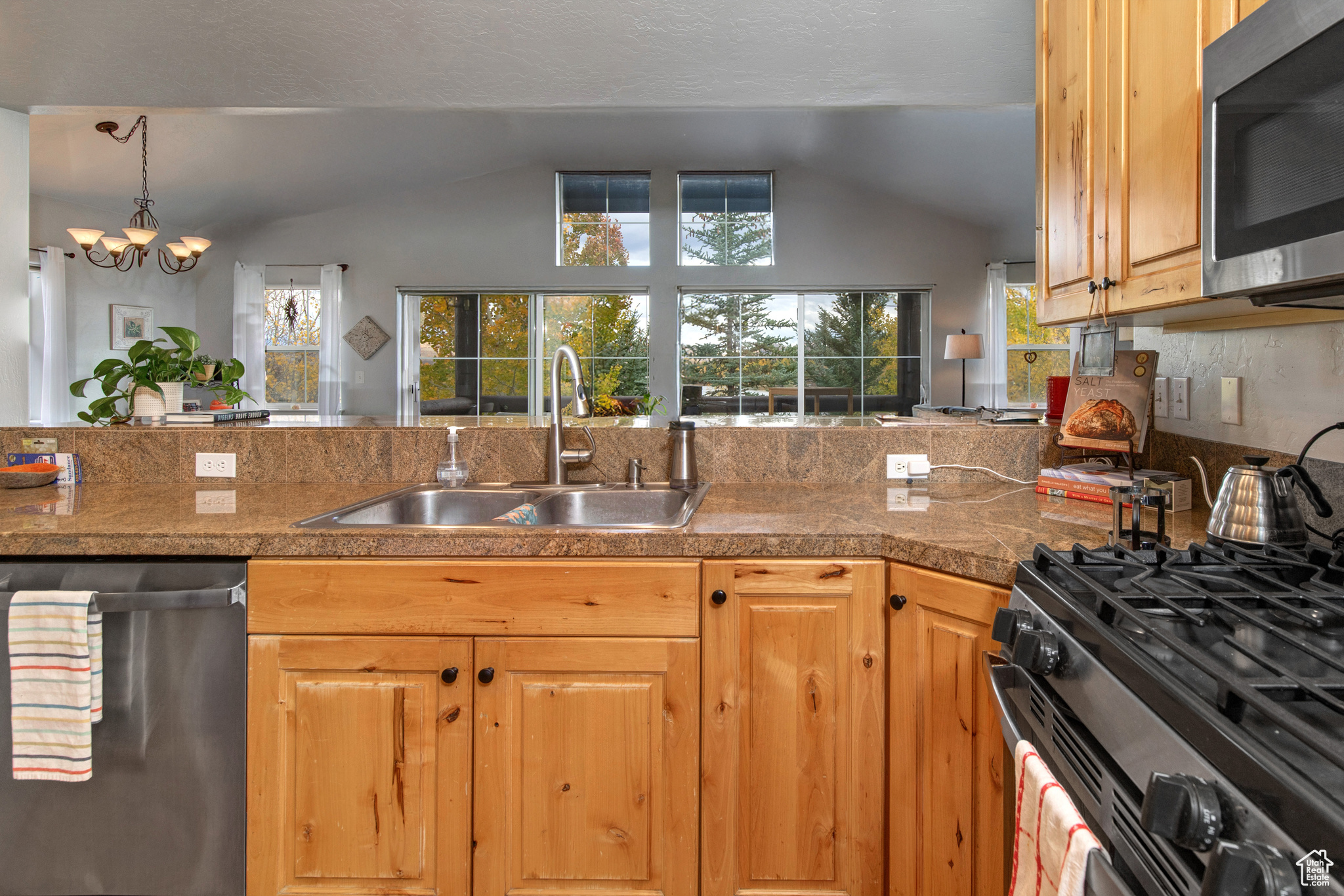 THE COVE AT SUN PEAK/WINTER PARK - Residential