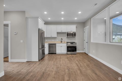 Tiny photo for 1138 N 1000 E, Mapleton, UT 84664 (MLS # 2110159)