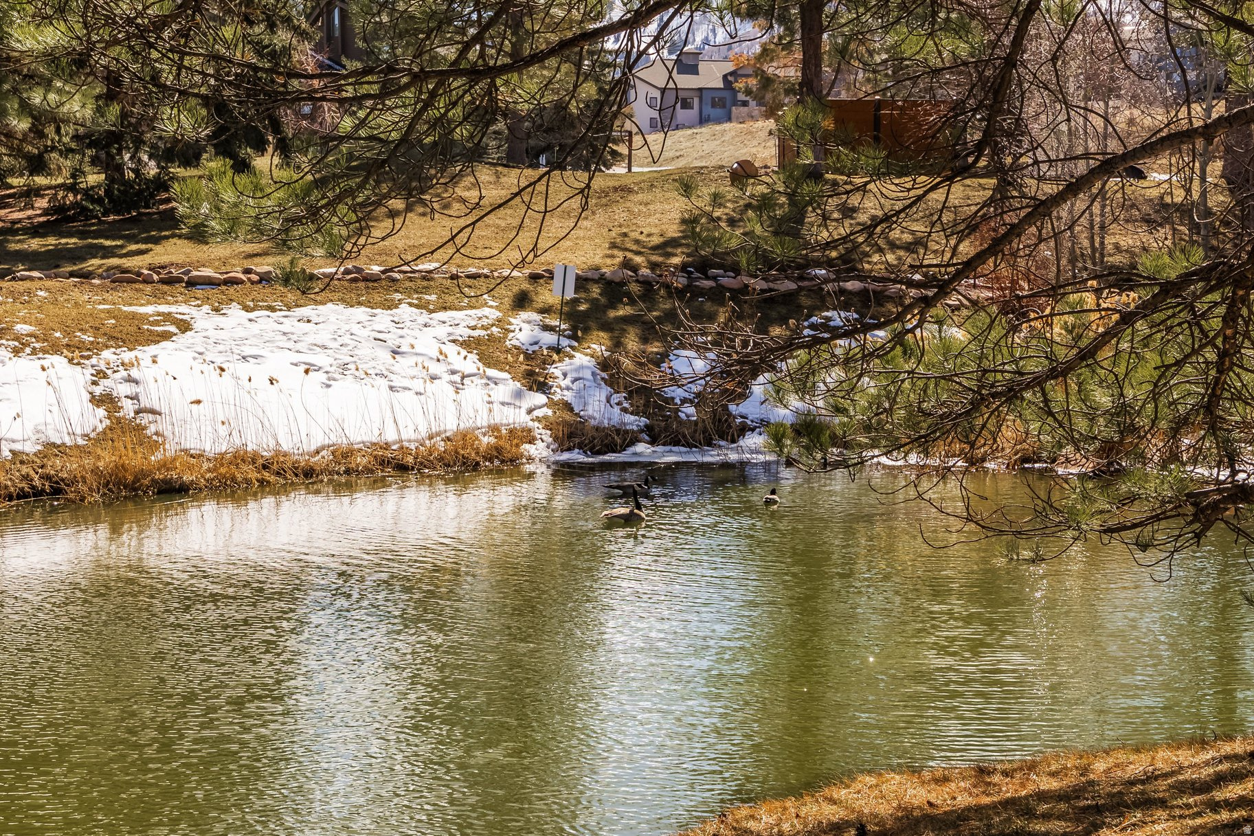 HIDDEN CREEK - Residential