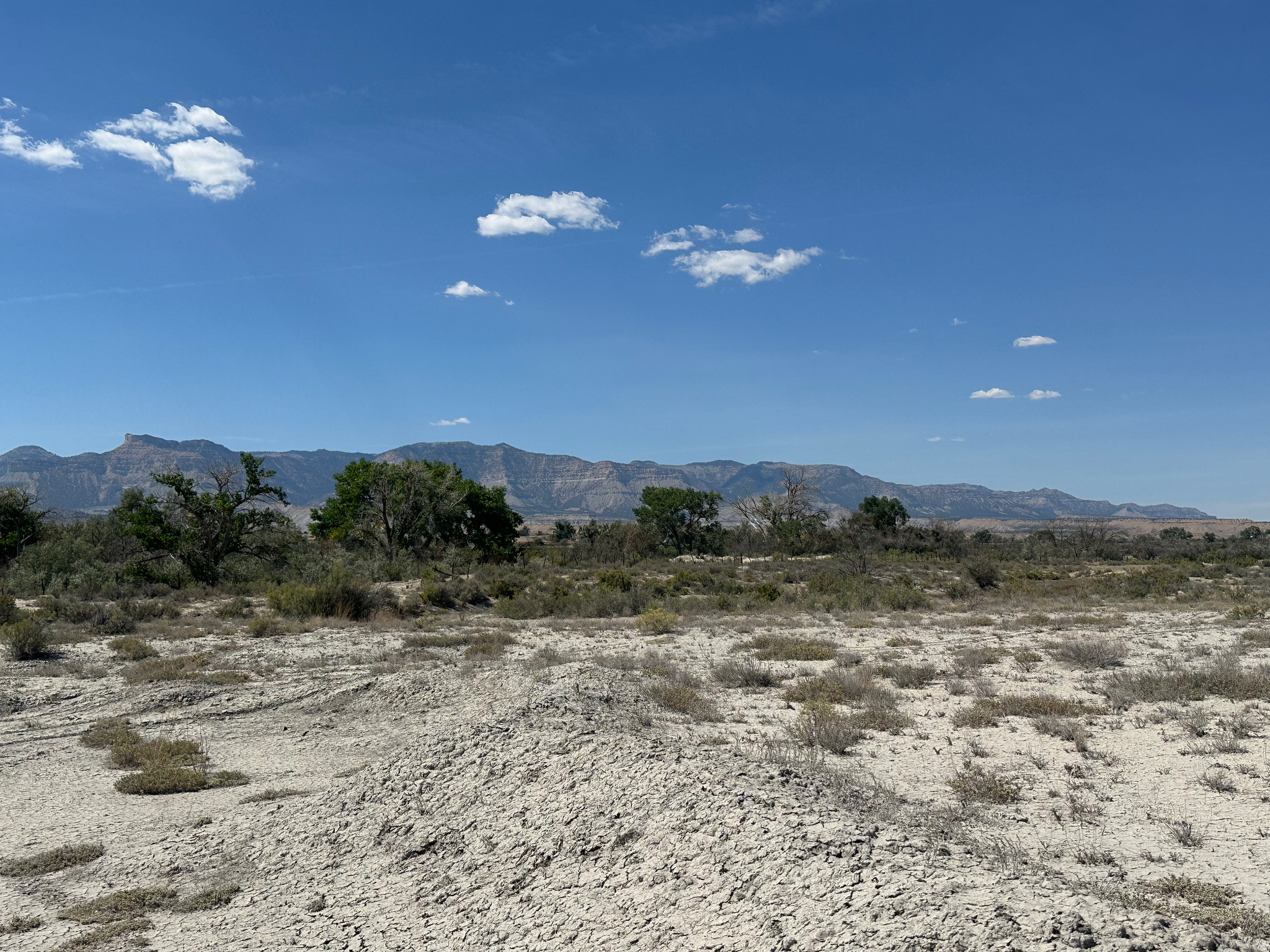 3250 W STATE ROAD 155