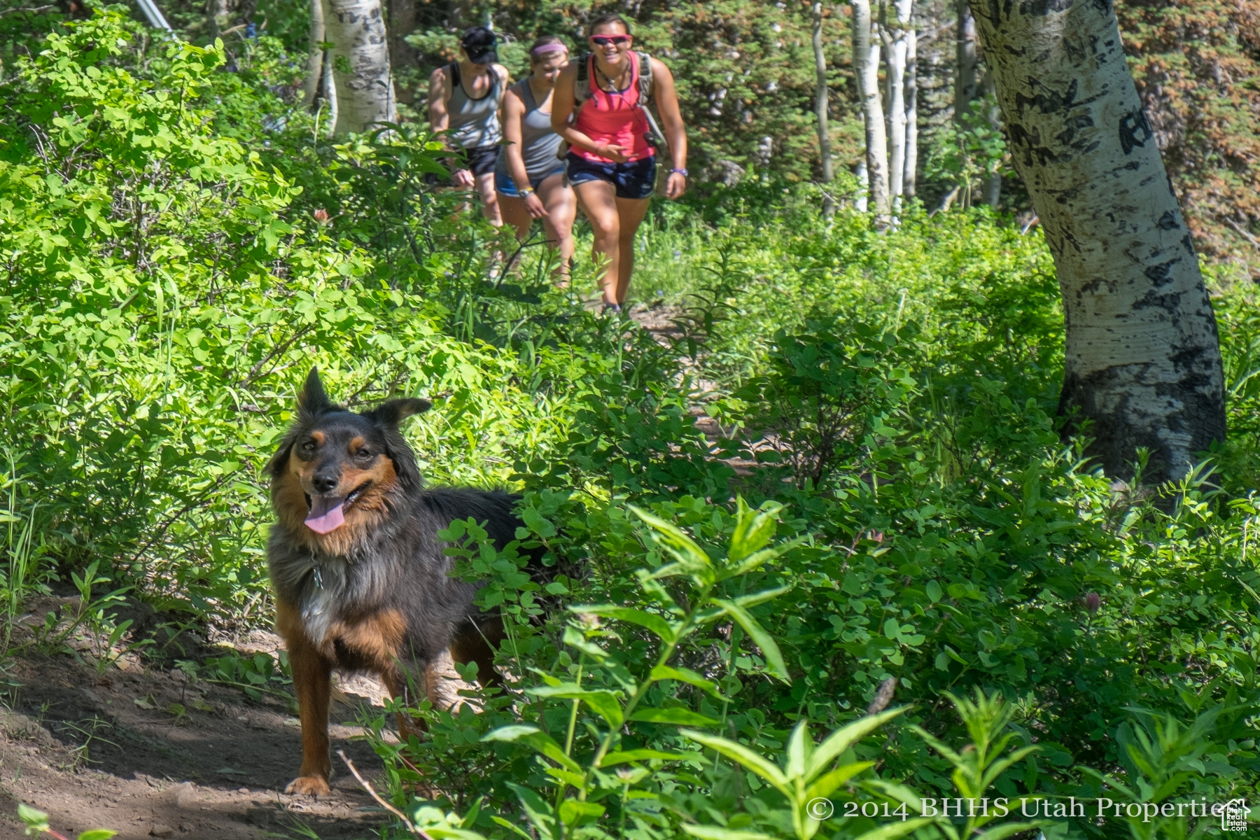 Park City, Utah 84060, United States, 3 Bedrooms Bedrooms, ,3 BathroomsBathrooms,Residential,Pending,8623