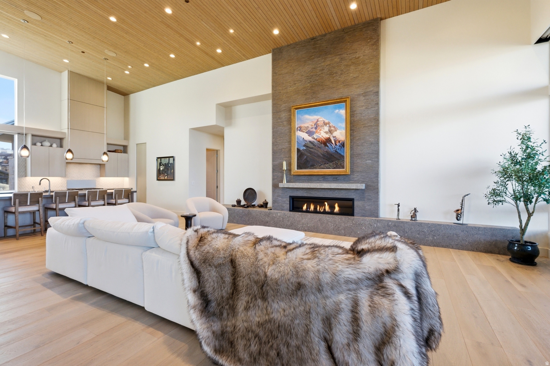 BISON BLUFFS SUBDIVISION - Residential