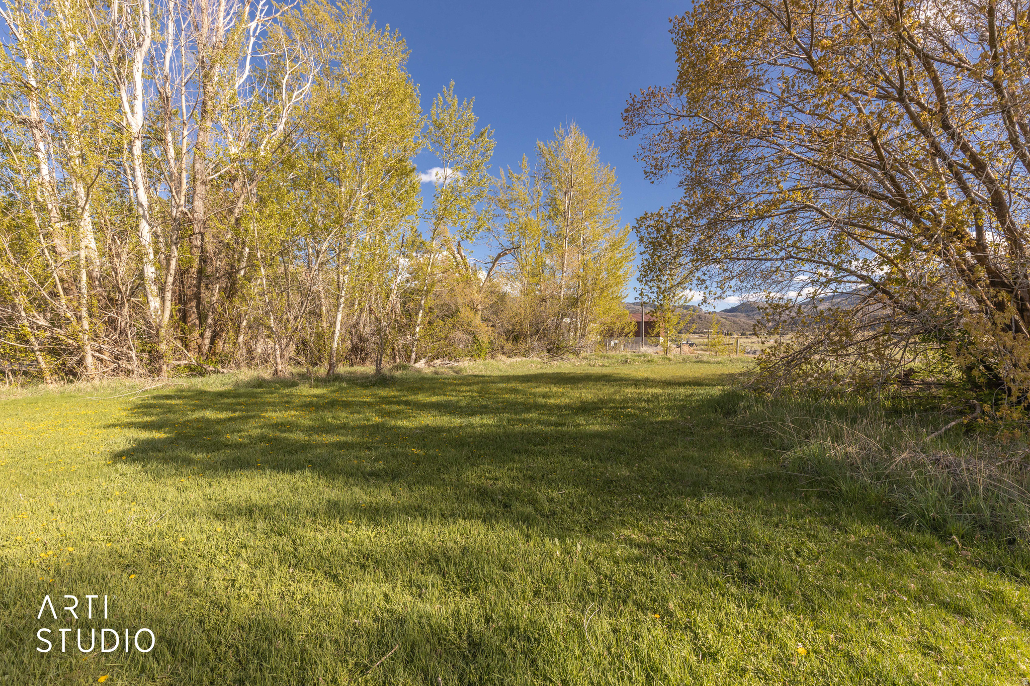 RASMUSSEN RIDGE - Land