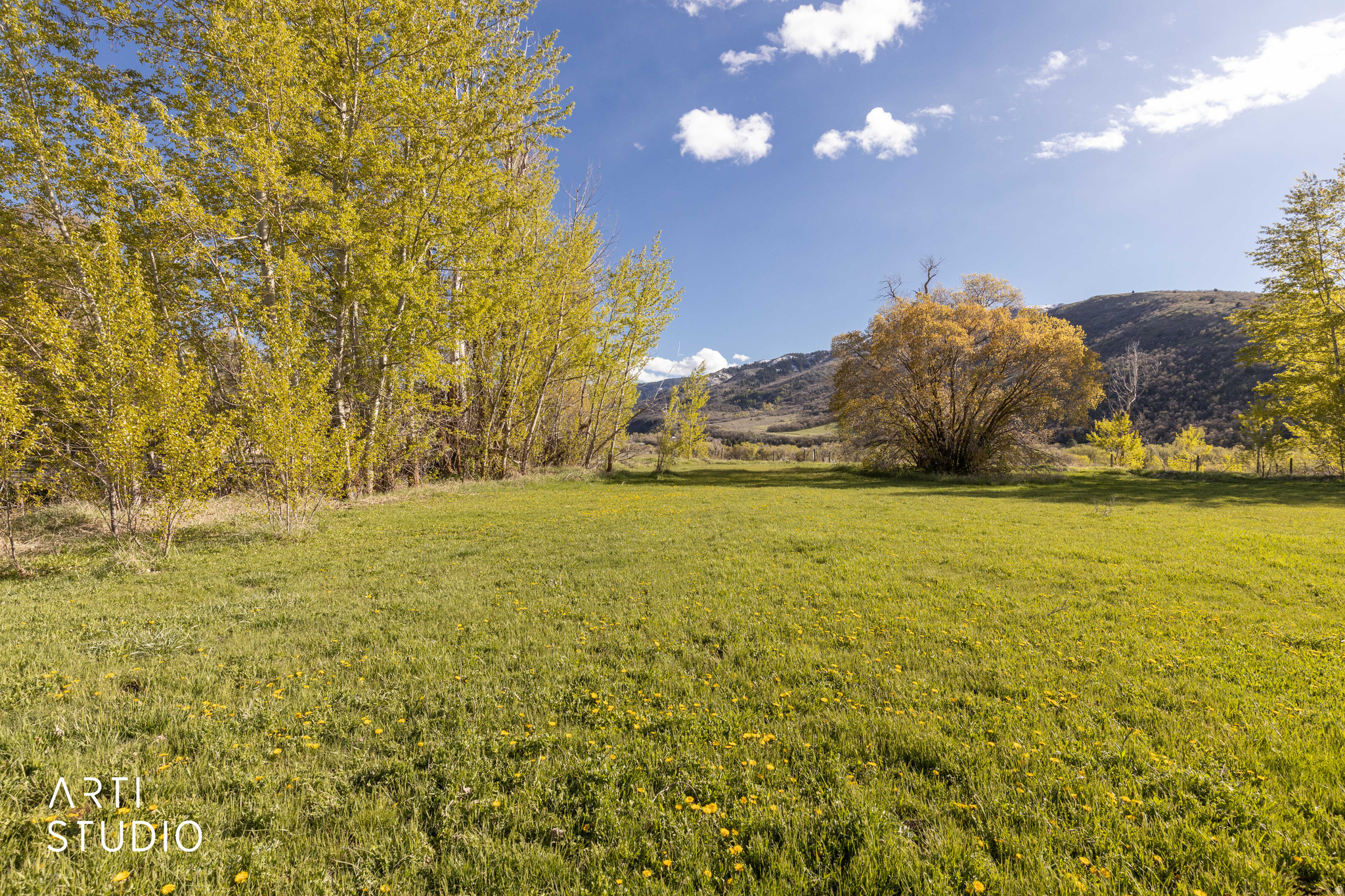 RASMUSSEN RIDGE - Land