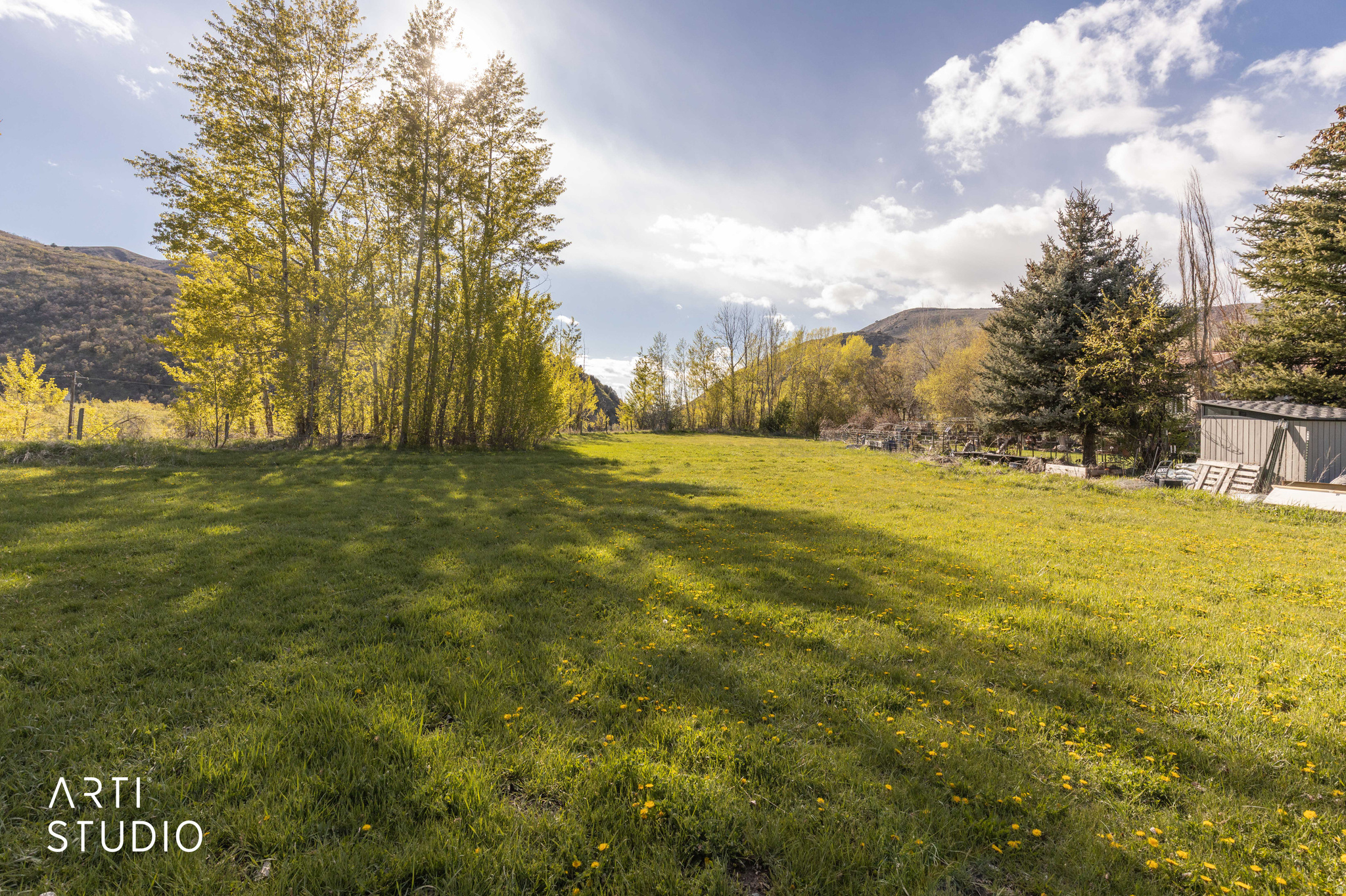 RASMUSSEN RIDGE - Land