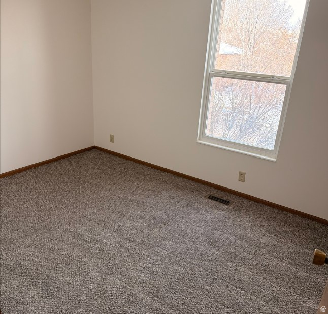 DEER RUN ESTATES - Residential