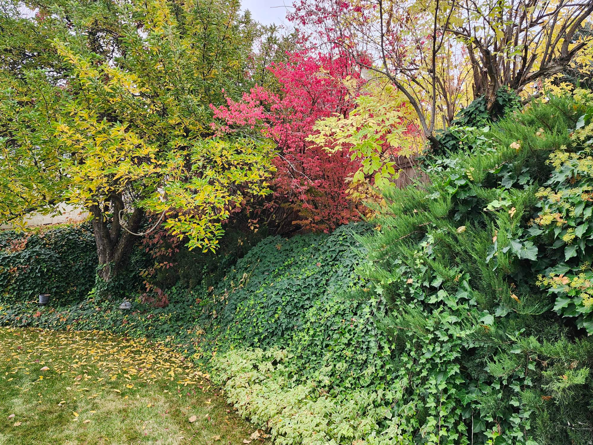 DEER RUN ESTATES - Residential