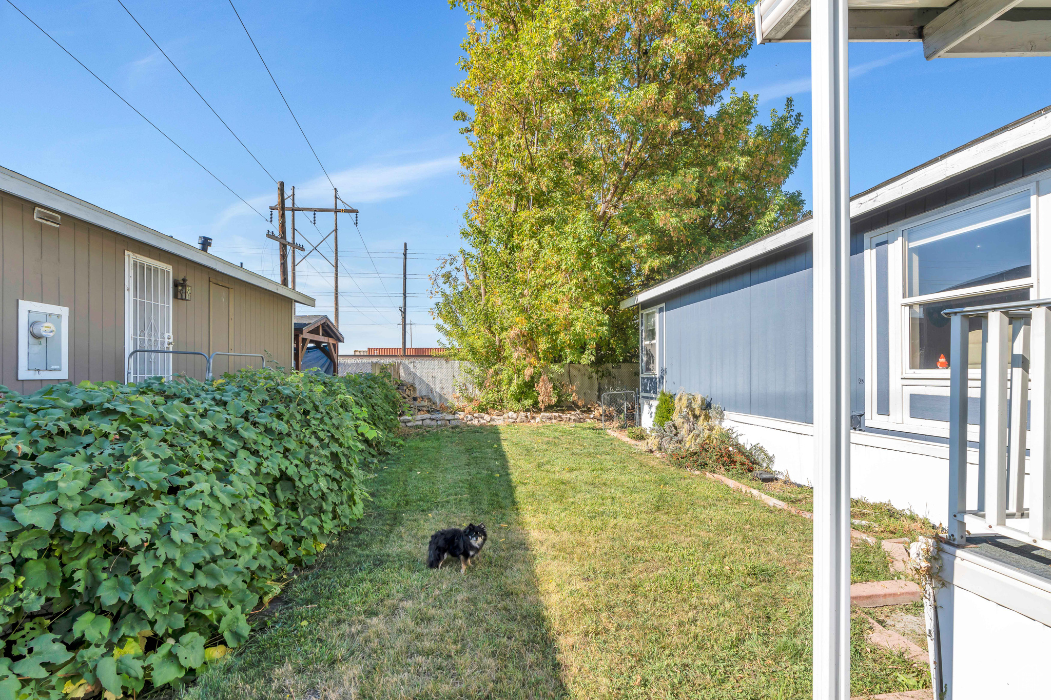 OAKBROOK - Residential