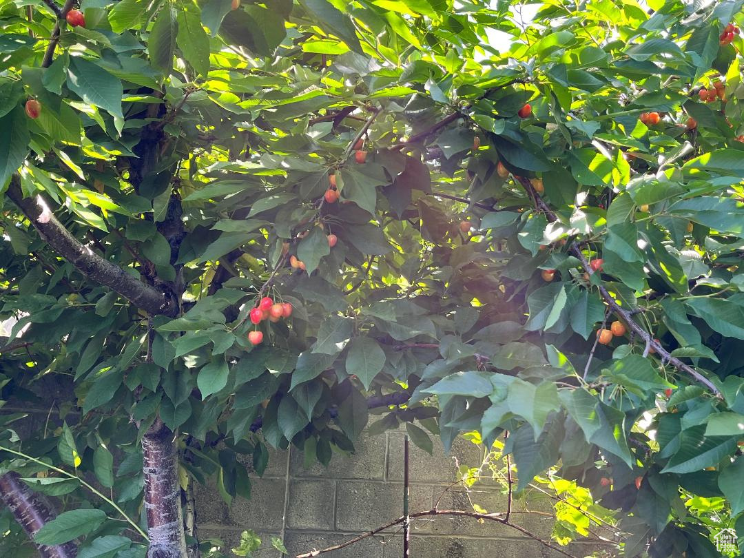 COUNTRY HEIGHTS SUB - Residential