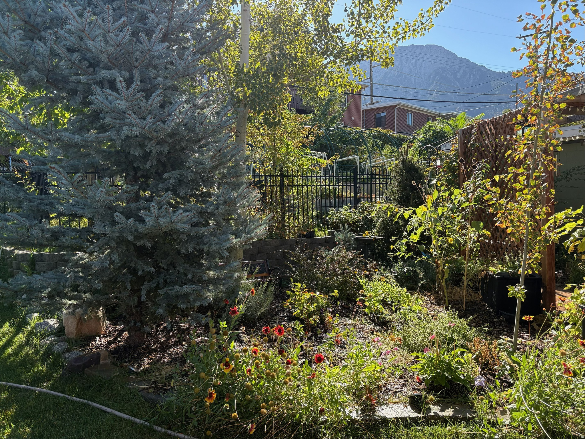 COUNTRY HEIGHTS SUB - Residential