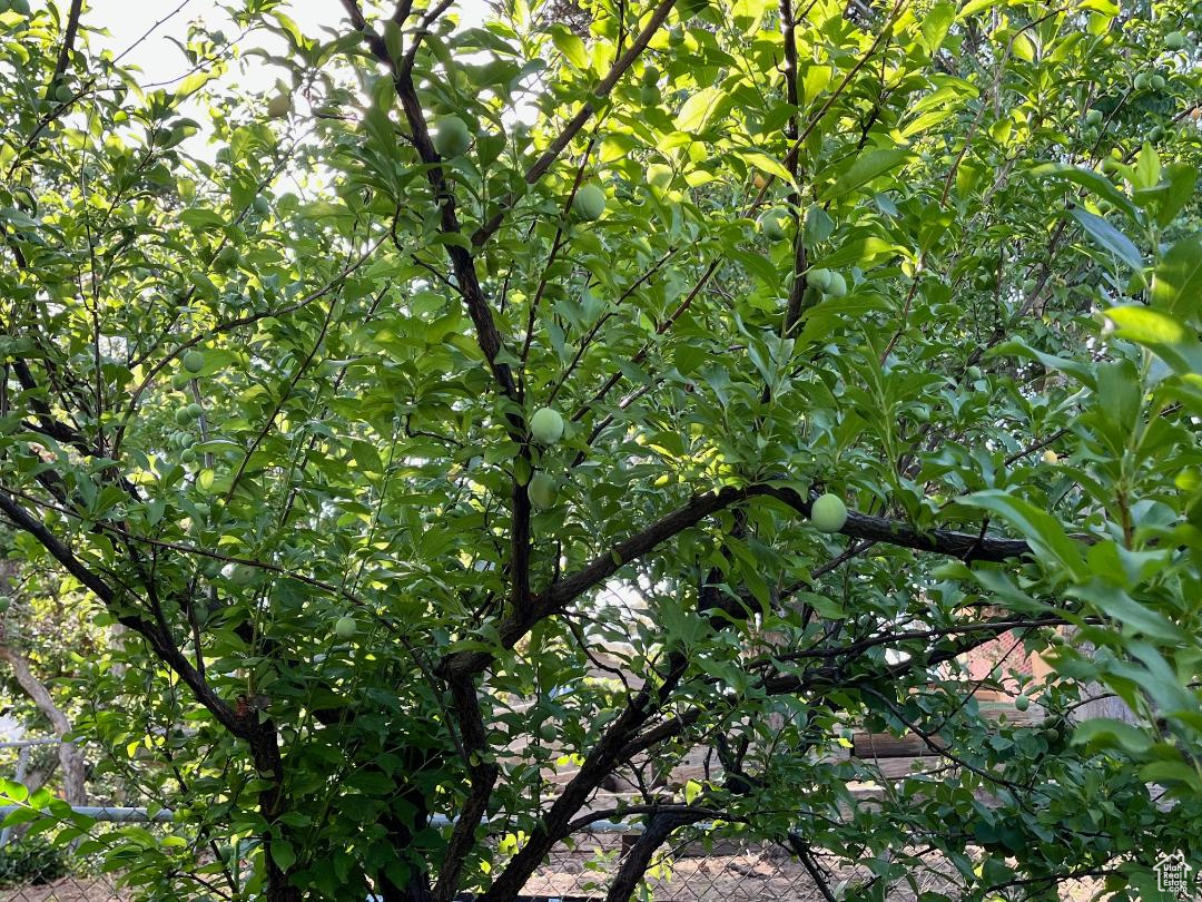 COUNTRY HEIGHTS SUB - Residential