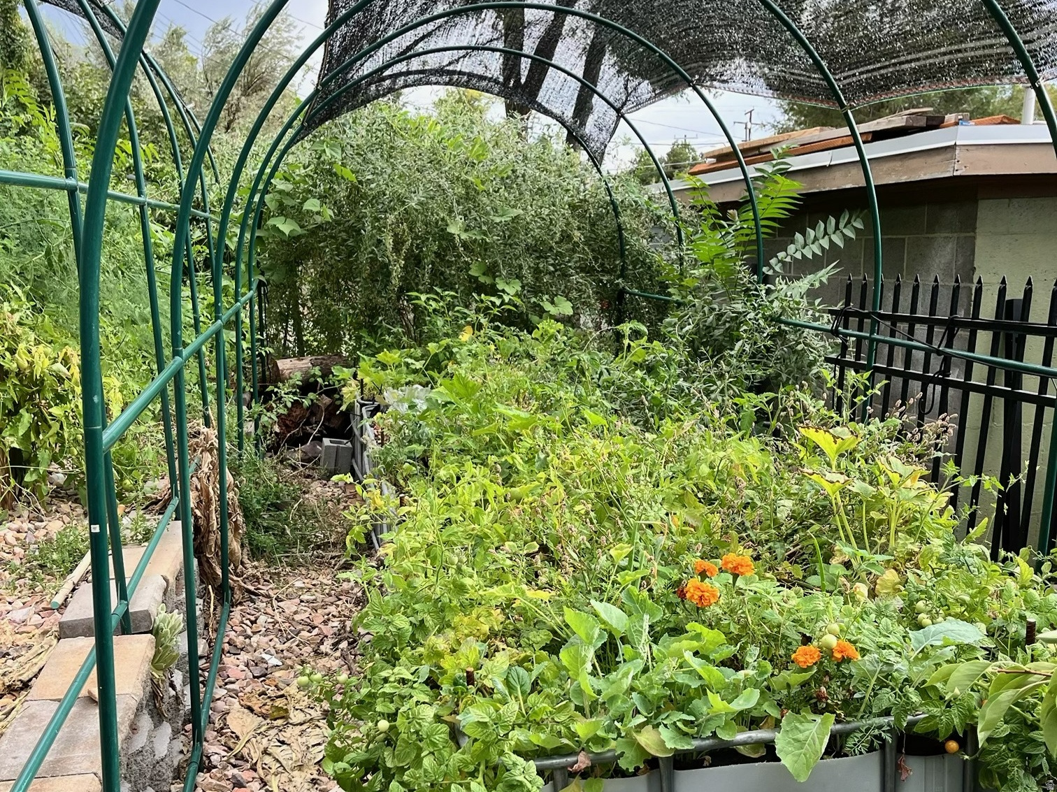 COUNTRY HEIGHTS SUB - Residential