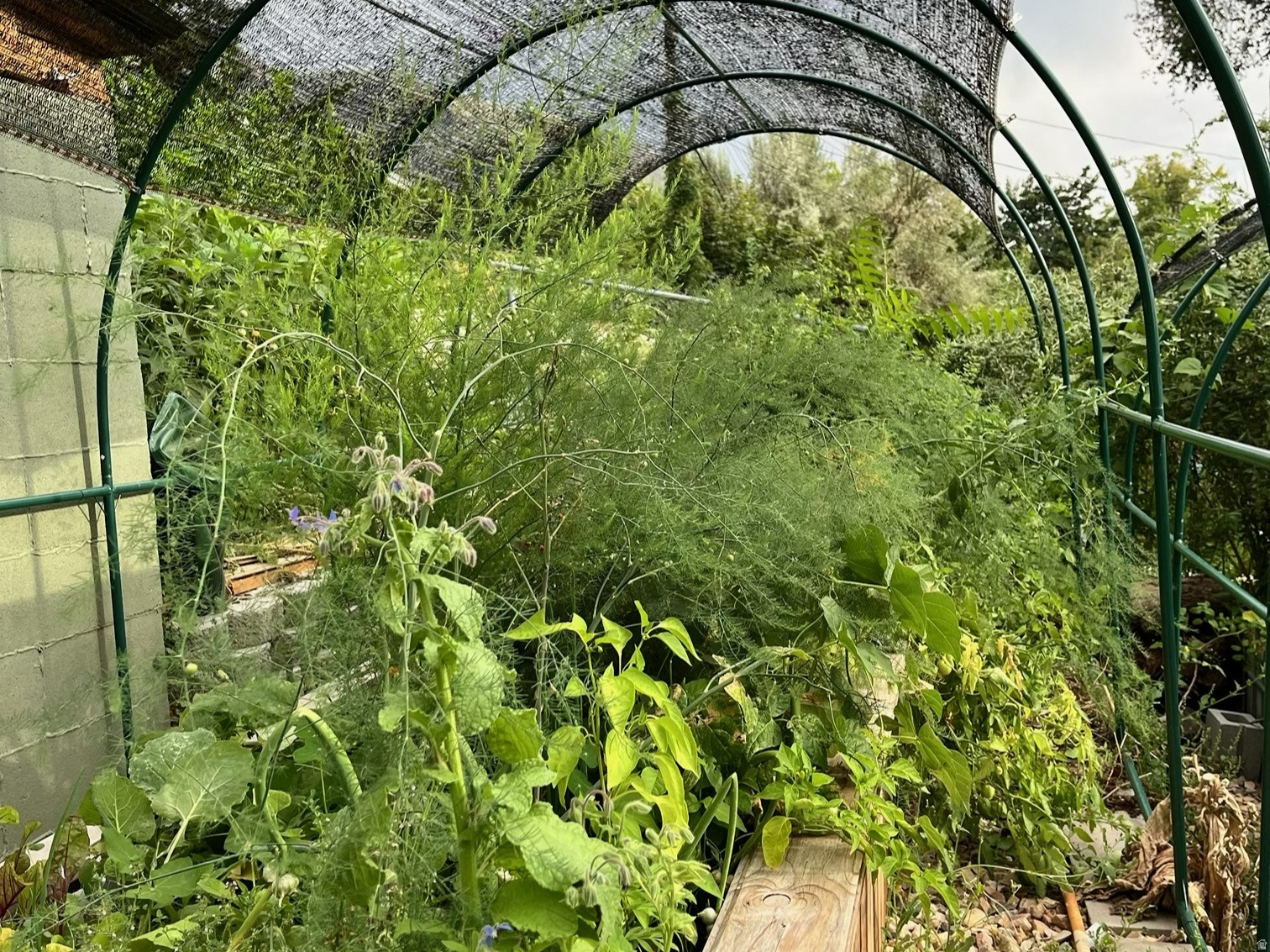 COUNTRY HEIGHTS SUB - Residential