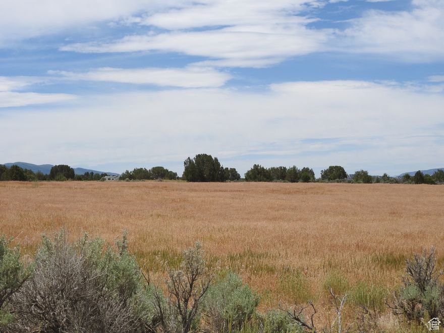 What a beautiful parcel of land with views to match. This parcel is ideal for a homesite, also to have animals and includeds 5 shares or Horseshoe Irrigation water. Call today. Buyer to verify all information.