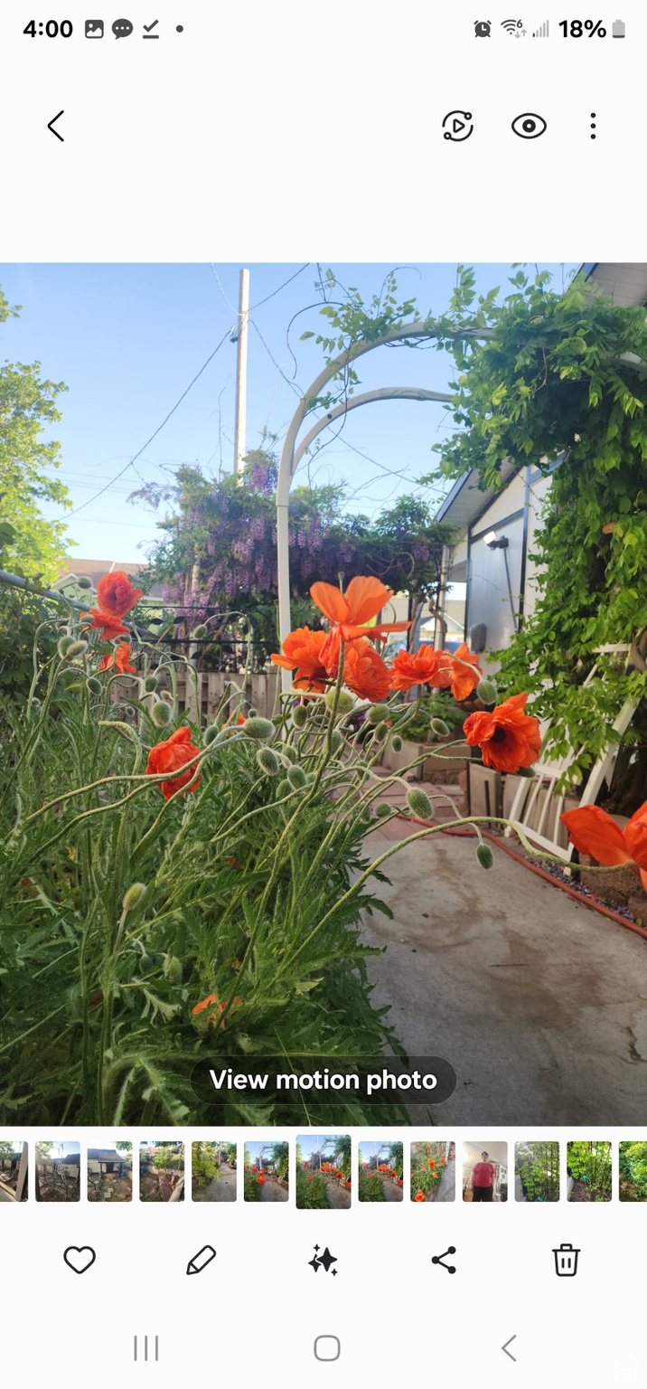 Tooele, Utah 84074, United States, 3 Bedrooms Bedrooms, ,3 BathroomsBathrooms,Residential,Active,106475