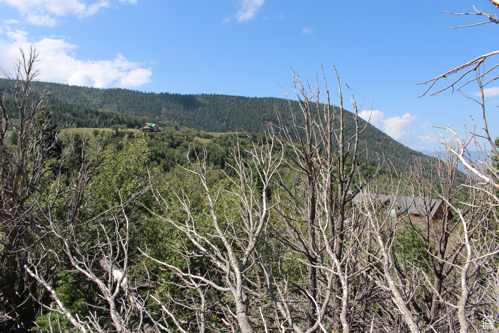 CEDAR HIGHLANDS SUBDIVISION - Land