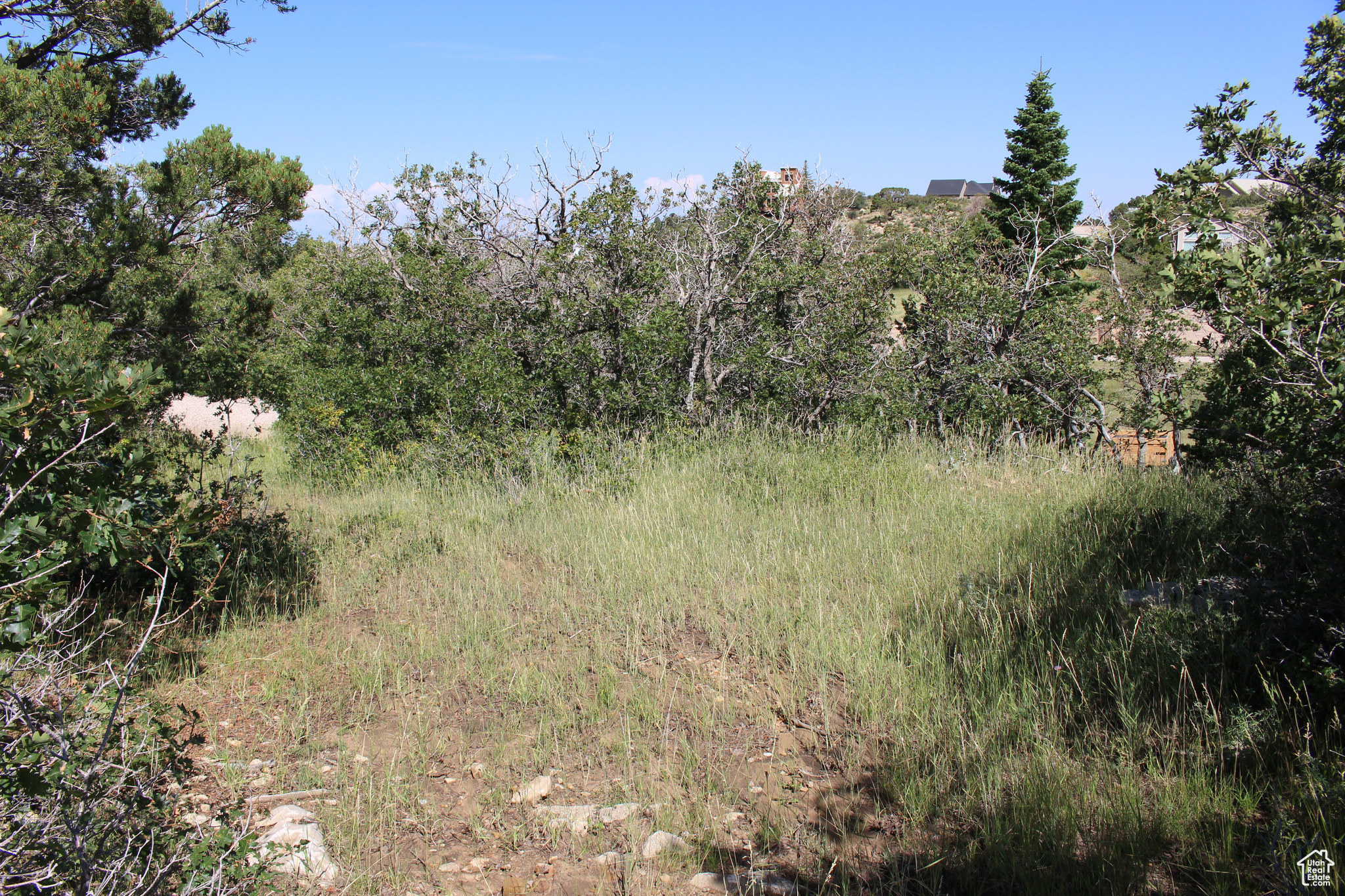 CEDAR HIGHLANDS SUBDIVISION - Land