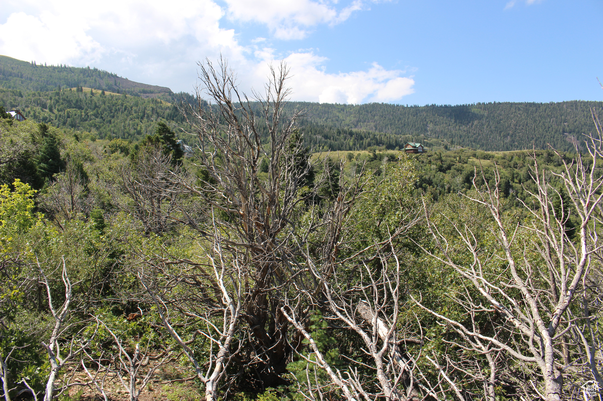 CEDAR HIGHLANDS SUBDIVISION - Land