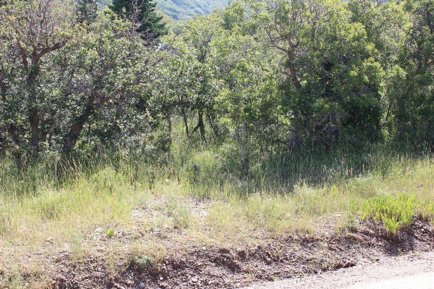 Fantastic building lot in Cedar Highlands. This lot sits up high toward the eastern part of the subdivision. Build site can be accessed from the east or west boundary of the lot. Great views and surroundings. Seller is a licensed contractor and will build to suit. He has several Cabin style home plans to choose from. The price reflected on listing is only for the lot. Seller financing available.