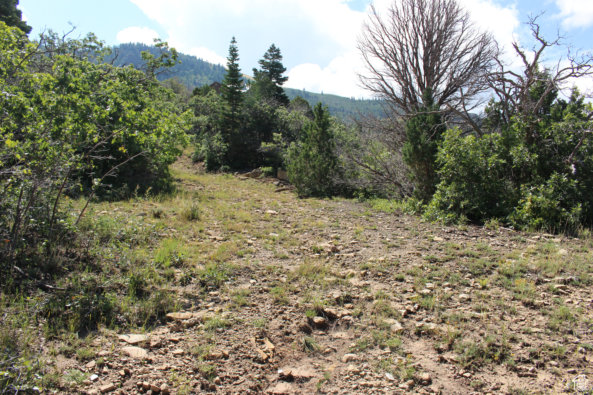 CEDAR HIGHLANDS SUBDIVISION - Land