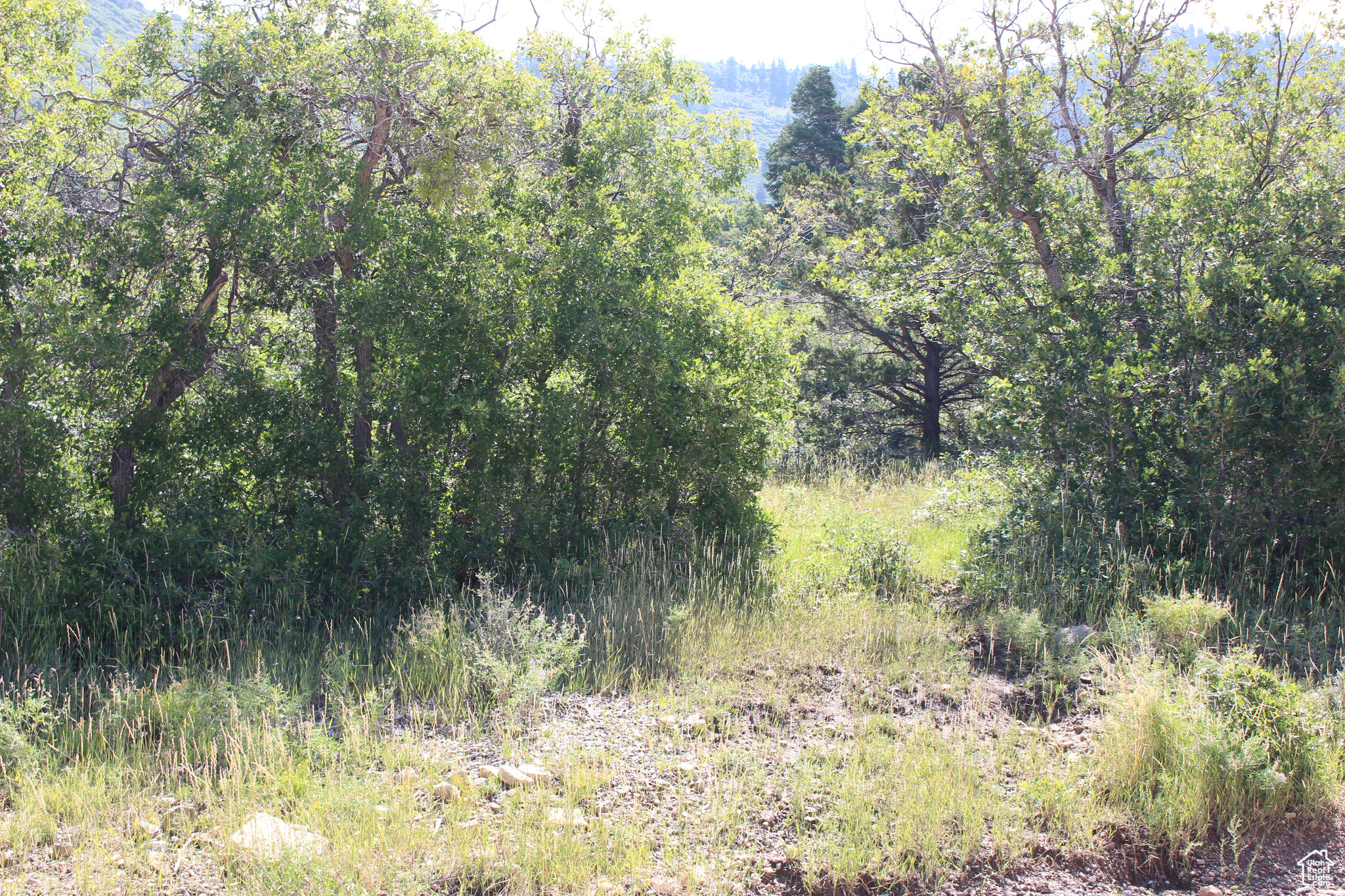 CEDAR HIGHLANDS SUBDIVISION - Land