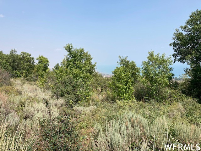 BEAR LAKE WEST SUB 6 LOTS 304 & 303 - Land