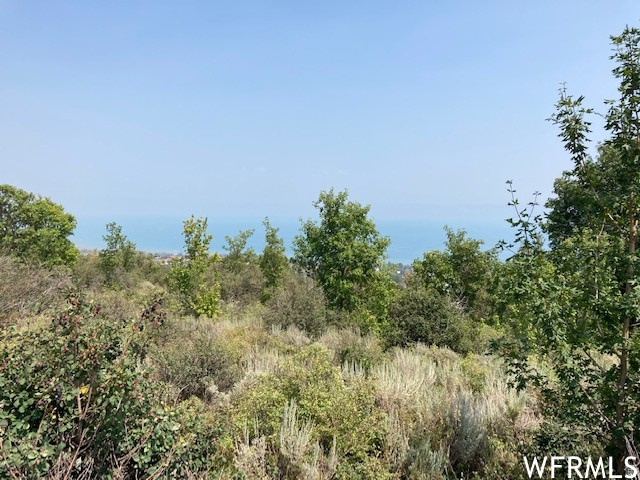 BEAR LAKE WEST SUB 6 LOTS 304 & 303 - Land