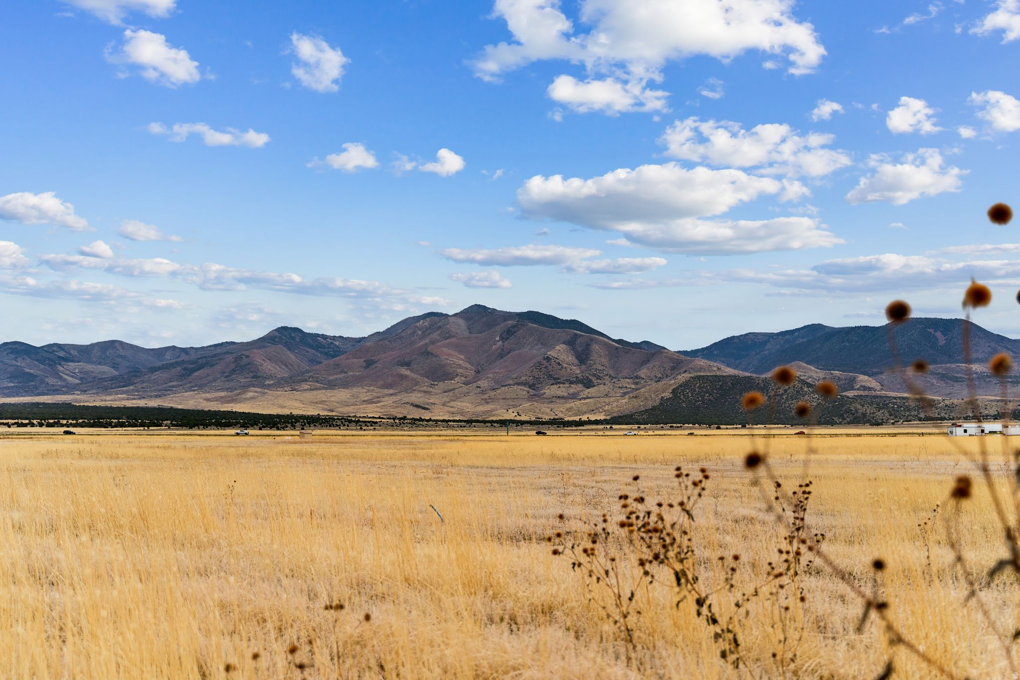 RANCHES SUBDIVISION - Land