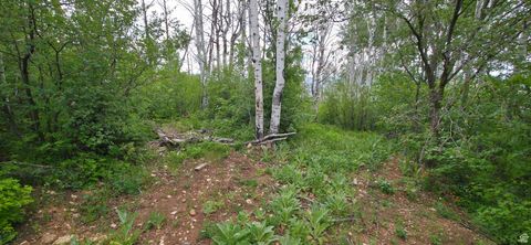 Tiny photo for 11 TABBY RD #11, Tabiona, UT 84072 (MLS # 2091828)