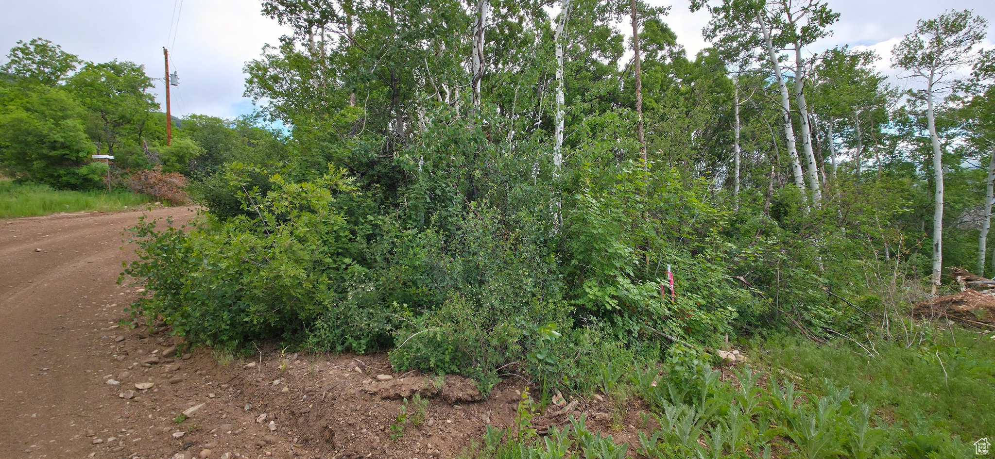 MT TABBY SPRINGS - Land