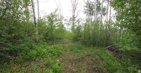 Tiny photo for 11 TABBY RD #11, Tabiona, UT 84072 (MLS # 2091828)