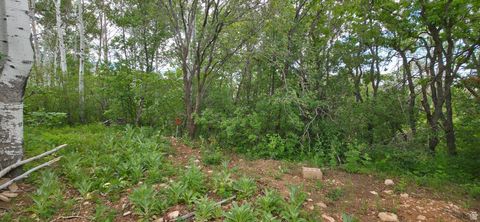 Tiny photo for 11 TABBY RD #11, Tabiona, UT 84072 (MLS # 2091828)