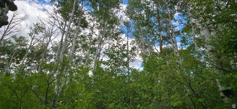 Tiny photo for 11 TABBY RD #11, Tabiona, UT 84072 (MLS # 2091828)