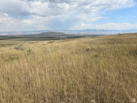 Vacant Land For Sale - 8200 W 8200<br/> Cache County, Newton, UT 84327