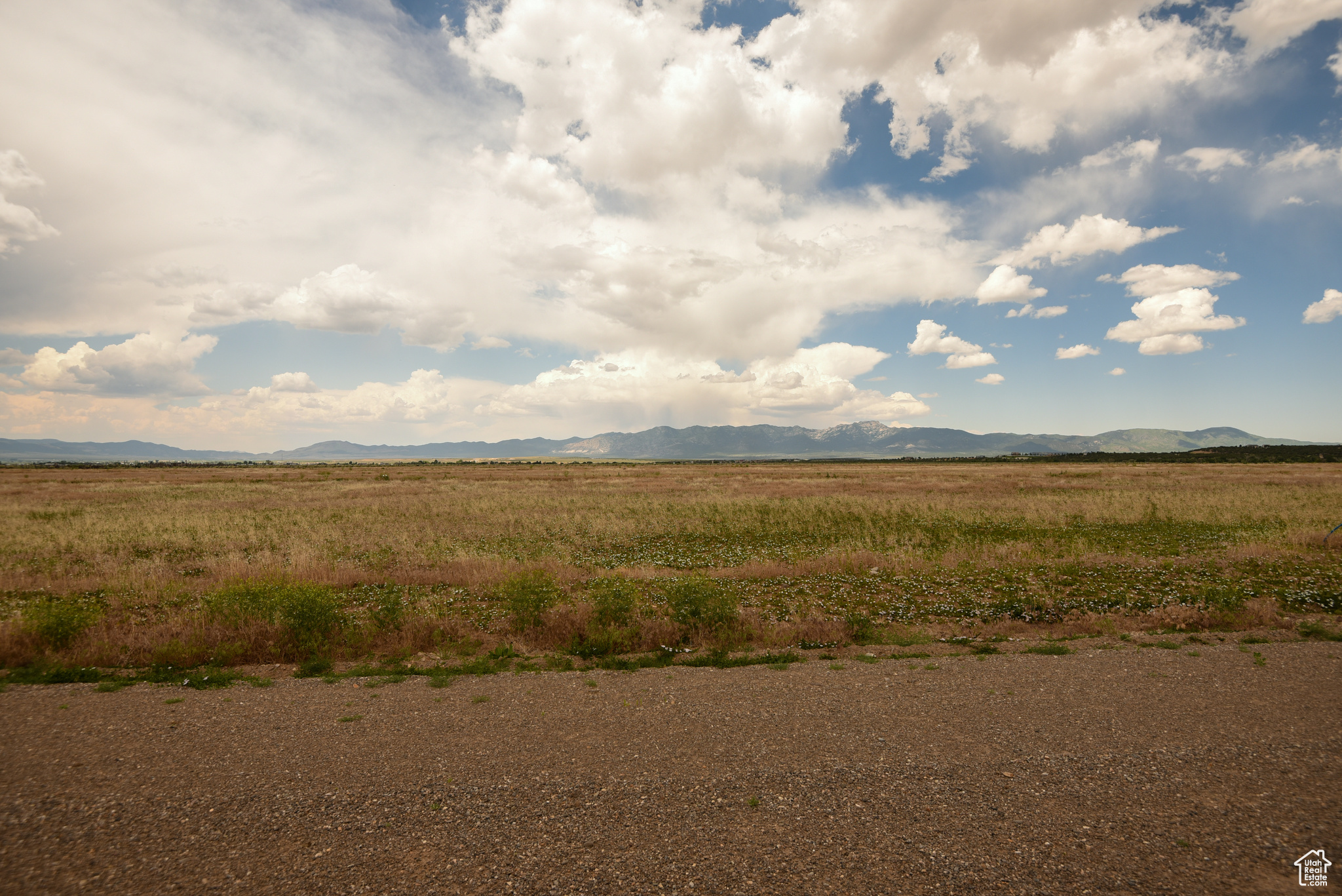 MINERAL VIEW ESTATES - Land