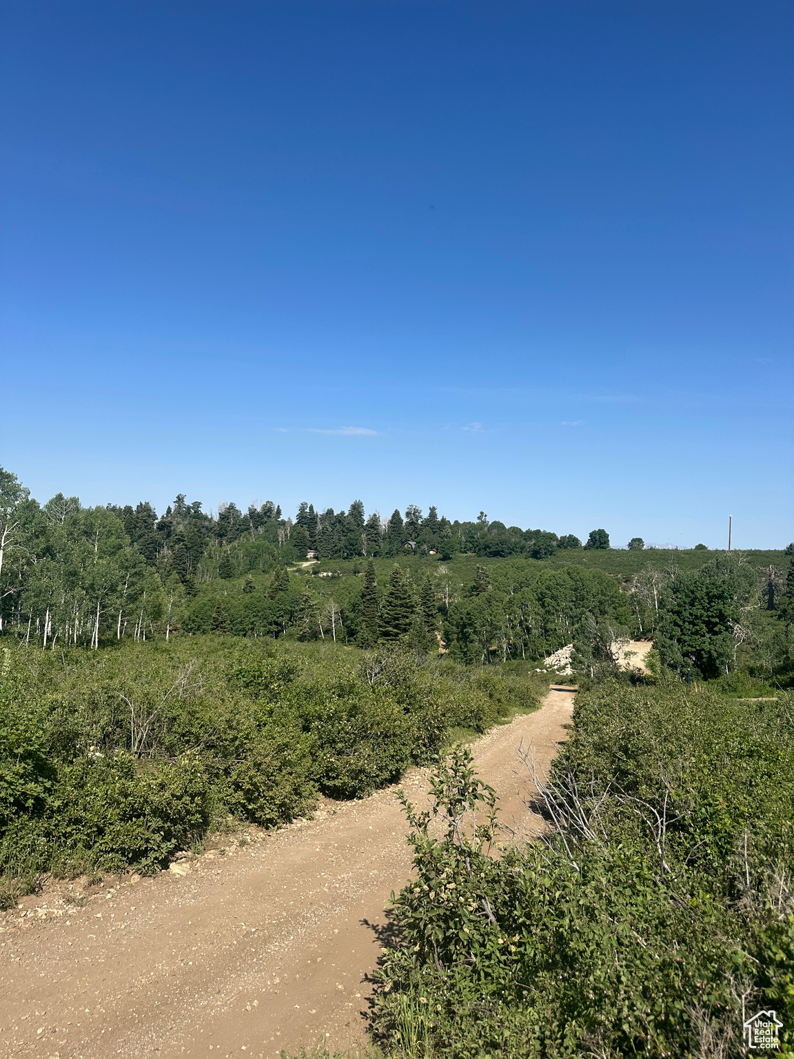 SKYLINE MOUNTAIN RESORT - Land