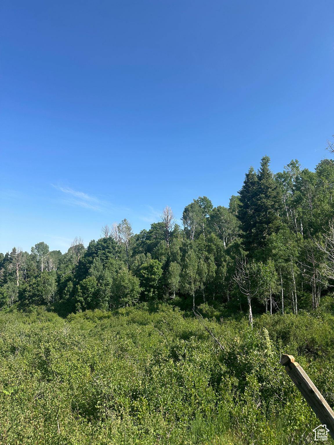 SKYLINE MOUNTAIN RESORT - Land