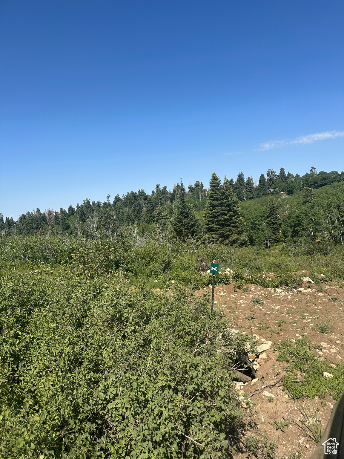 SKYLINE MOUNTAIN RESORT - Land