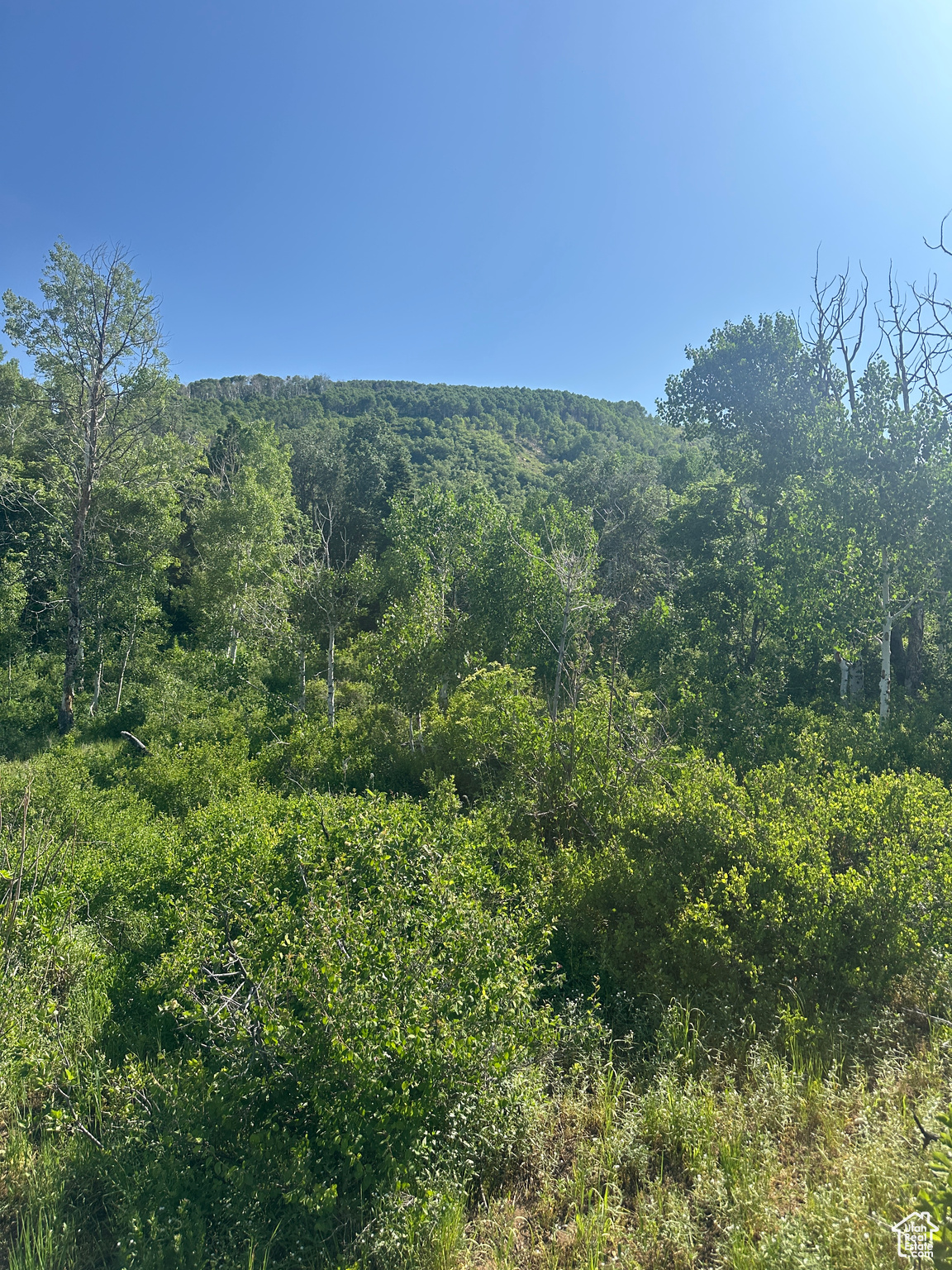 SKYLINE MOUNTAIN RESORT - Land