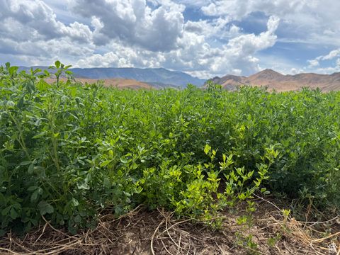 Tiny photo for Glenwood, UT 84730 (MLS # 2108833)