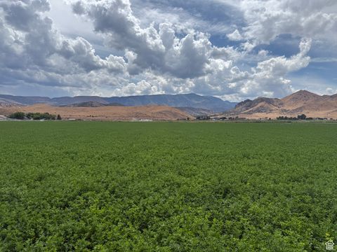 Tiny photo for Glenwood, UT 84730 (MLS # 2108833)