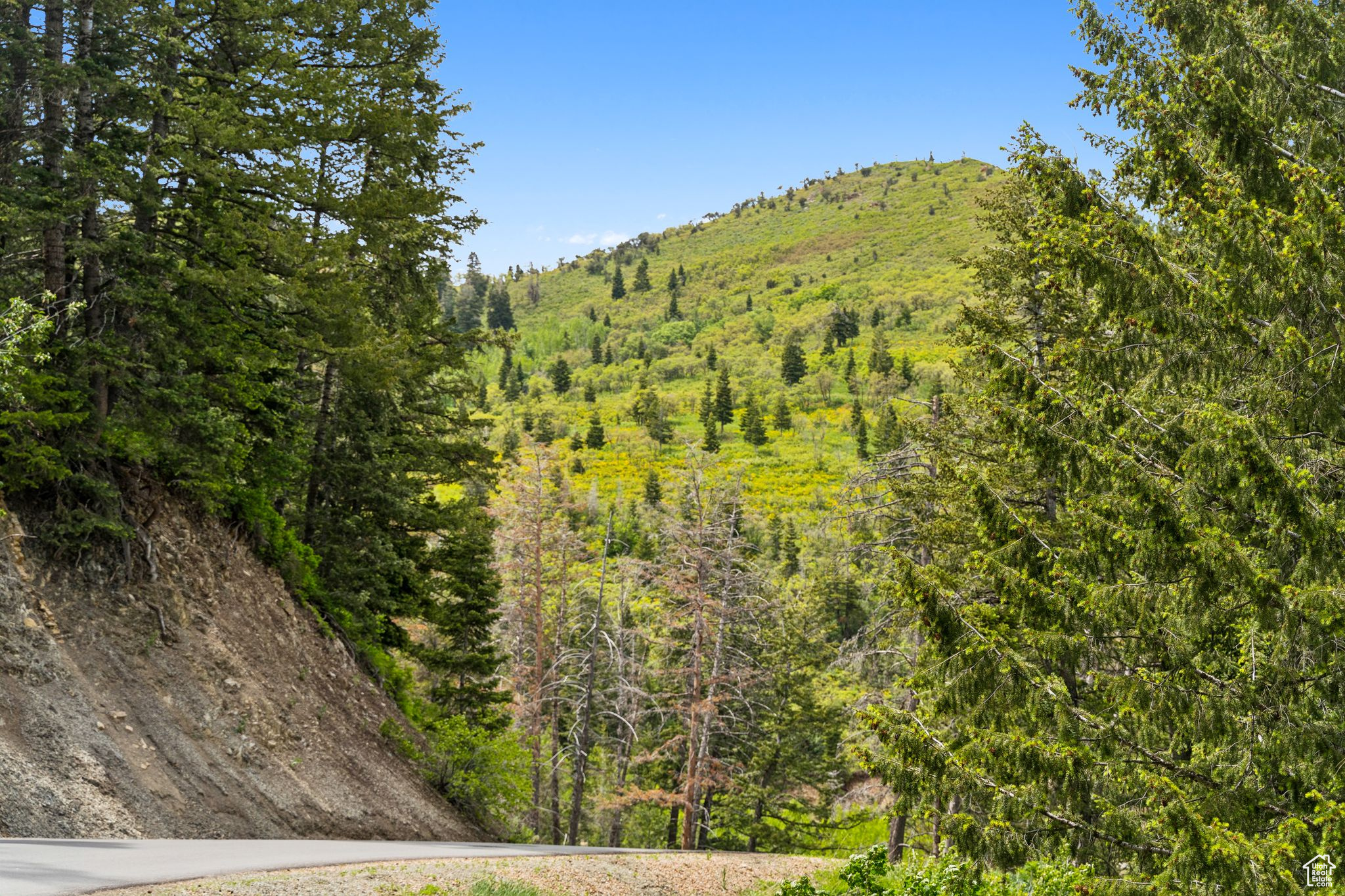 Just steps from the Summit Park Trailhead and direct access to public land, this lot offers unbeatable access to hiking, biking, and year-round adventure right out your front door. Immerse yourself in the peaceful charm of mountain living at 590 Matterhorn Drive, a picturesque .70-acre lot nestled in the forested enclave of Summit Park. Surrounded by soaring evergreens and nestled on a downhill slope, this property offers a peaceful and private setting ideal for your custom mountain home. Whether you're drawn by the endless outdoor opportunities or the serene atmosphere, this location delivers it all year-round trails, wildlife, and easy access to world-class skiing. Enjoy the convenience of being just 15 minutes from Park City's restaurants, shops, and resorts, and only 25 minutes from Salt Lake International Airport. Your mountain lifestyle begins here.