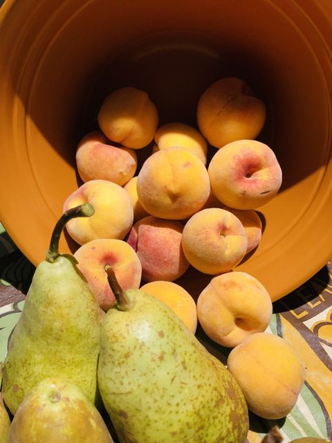 Tiny photo for 140 N 200 E, Glenwood, UT 84730 (MLS # 2150331)