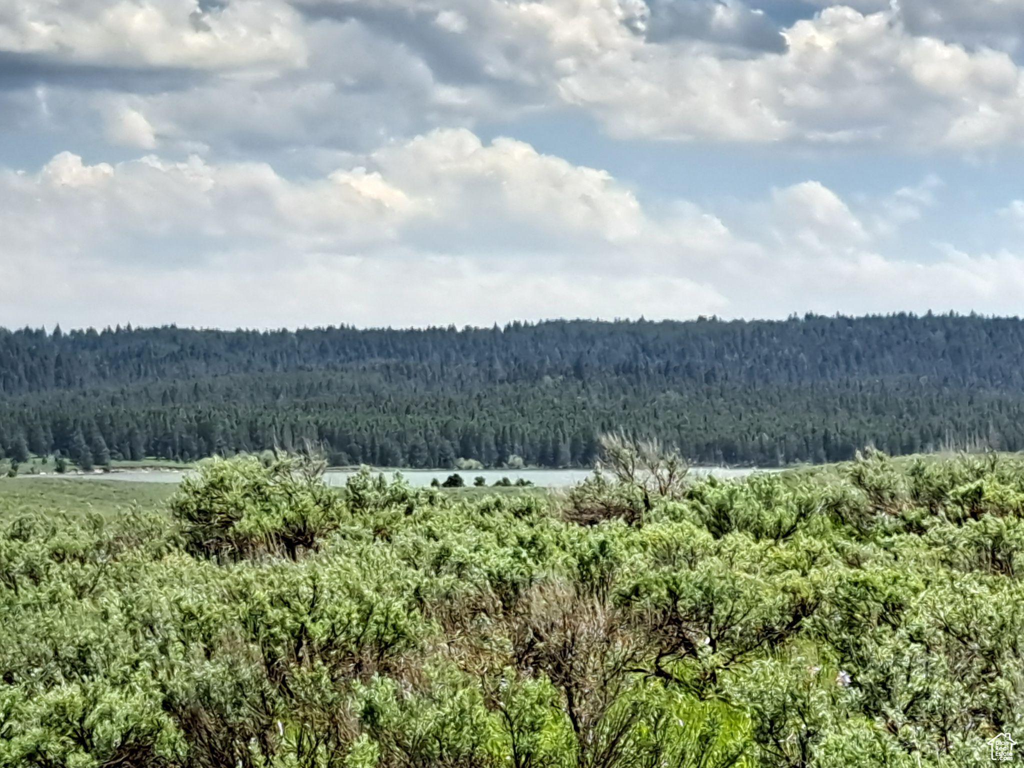 3380 Eagles Rd #LOT 33, Island Park, Idaho image 2