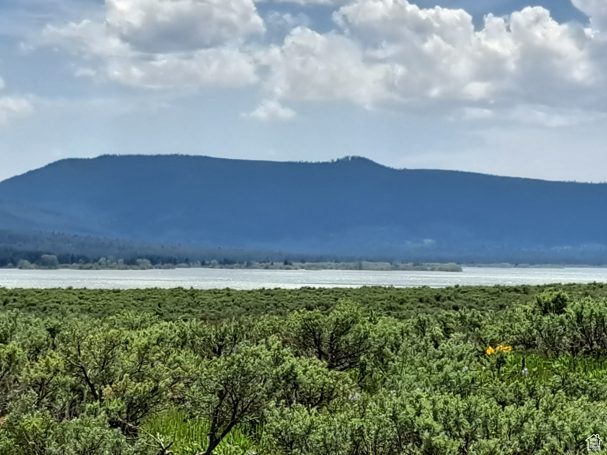 3380 Eagles Rd #LOT 33, Island Park, Idaho image 1